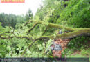 Österreich: Heftiges Unwetter über Österreich, Todesopfer in der Steiermark