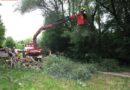 Nö: Umgestürzter Baum hing fest und gefährdete Passanten
