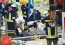 T: Kuh in Weiderost eingeklemmt