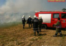 Bgld: Flurbrand in Mörbisch/See
