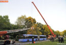 D: Morscher Ast fällt auf Linienbus