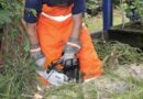 D: Vom Blitz gespaltener Baum droht auf ein Haus zu stürzen