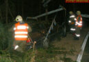 Nö: Pkw unter Baum begraben
