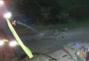 Nö: Nicht vollständig ausgekühlte Asche führte zu einem Kellerbrand