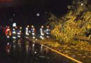 Nö: Einsatzmarathon der FF Utzenlaa nach schwerem Unwetter