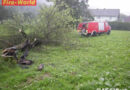 Oö: Brennender Baum neben Wirtschaftsgebäude