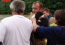 Sbg: Spaniel „flüchtet“ in die Salzach  – von Feuerwehr gerettet!