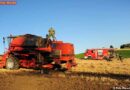 Oö: Mähdrescher bei Erntearbeit in Brand geraten