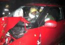 Nö: Pkw prallt gegen einen Baum -> Zwei Personen schwer verletzt