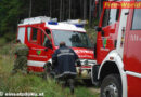 Nö: Pkw stürzt von Forststraße in Wald ab