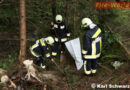 Stmk: Traktorabsturz in Rachau