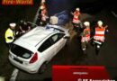 Oö: Fahrzeug prallt auf der A1 gegen ein Reh