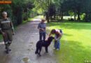 T: Suche nach einem Hund im Inn