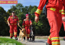 Oö: Großeinsatzübung „Wildfire 2010“ in Kronstorf