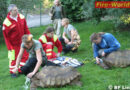 Oö: Feuer im Schildkrötenhaus in Linz -> Nicht alltägliche Tierrettung