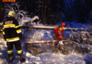 Ktn: Schneefall und umgestürzte Bäume sorgen für Feuerwehreinsätze!
