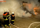 Deutschland: 15 Rinder und zwei Pferde sterben bei Großbrand in Stade