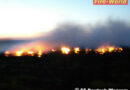 Nö: Flurenbrand in Deutsch-Wagram