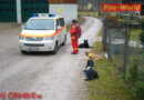 Oö: Zweiter Rettungshunde-Sucheinsatz innerhalb von 24 Stunden