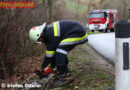Nö: Sturmschaden in Sitzenberg