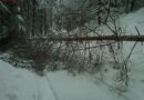 Stmk: Schneeeinsätze der FF Judendorf-Straßengel