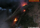 Nö: Brand eines morschen Baumes in Otterthal