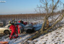 Bgld: Mit Pkw Baum gefällt -> Personenrettung bei Illmitz