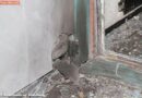 Oö: Explosion in Linzer Jugendzentrum