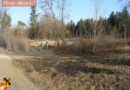 Oö: Böschungsbrand an der B1 in Gunskirchen