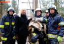Oö: Kater Simba nach zwei Tagen vom Baum gerettet
