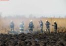 Bgld:  Flurbrand im Nationalpark Neusiedlersee