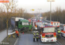 Bayern: Lkw wälzt in München fünf Alleebäume nieder