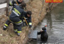 Oö: Feuerwehrtaucher barg Tresor aus dem Mühlbach in Wels