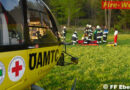 Ktn: 8-jähriger Enkel als Lebensretter -> Landwirt unter Baum eingeklemmt