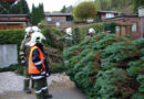 Bgld: Sturm entwurzelt Baum -> Fahrzeug knapp verfehlt
