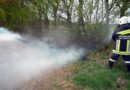 Nö: Unterholz bei WIndschutzgürtel in Brand geraten