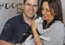 Bayern: Katze stürzte in einen Kamin -> 4-stündige Rettungsaktion