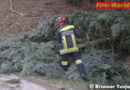 Nö: Umgestürzte Bäume nach Sturmböen in Payerbach