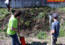 Bgld: Feuerwehrjugend löscht Flurbrand