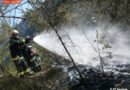 Tirol: Zwei Feuerwehren bei Waldbrand neben Strommast im Einsatz