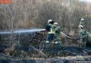 Nö: Flurbrand aufgrund außer Kontrolle geratene Abbrennarbeiten