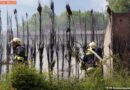 Oö: Heckenbrand bei der Berufsschule Kremsmünster