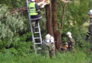Bgld: Unwettereinsätze im Bezirk Mattersburg