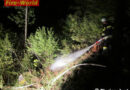 Ktn: Waldbrand in Möderndorf schnell gelöscht