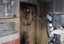 Nö: Wohnungsbrand durch ein Fernsehgerät ausgelöst