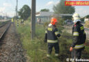 Nö: Flurbrand neben den Gleisen der Südbahn in Sollenau