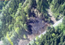 Tirol: Vierstündiger Waldbrandeinsatz am Muttertag bei Wiesing