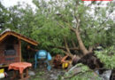 Oö: Etliche Schäden in Enns bei starkem Unwetter