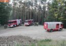 Bgld: Der Waldbrand und seine Gefahren – Abschnittsübung