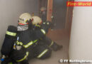 Nö: Übung der Feuerwehr Kottingbrunn: Kernaufgaben im Doppelpack